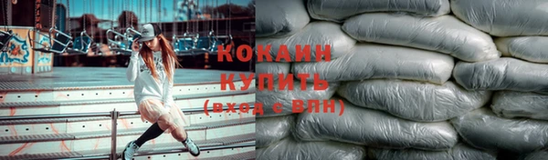ГАЛЛЮЦИНОГЕННЫЕ ГРИБЫ Касимов
