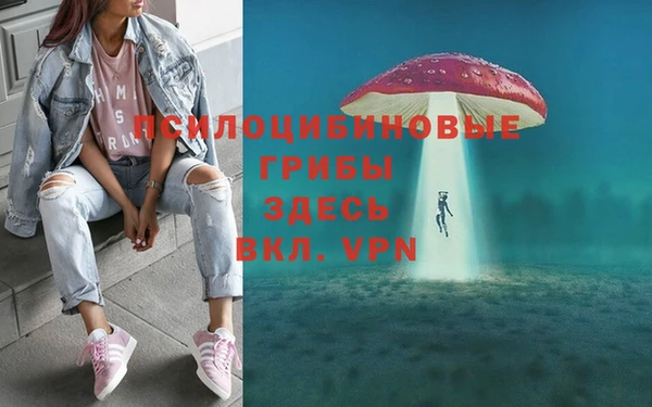 бутират Кинешма