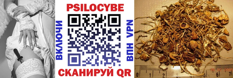 Галлюциногенные грибы Psilocybe Дмитриев