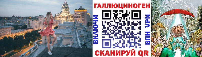 Купить  Дмитриев  Псилоцибиновые грибы мицелий 